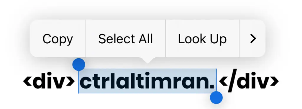 ctrlaltimran.com